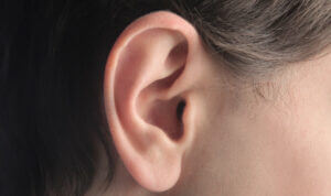 Das menschliche Gehör